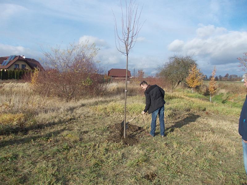 foto 028.jpg - Zasazen lpy na Mal Ri - za obec mstostarosta Ondej Koubek